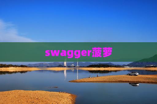 swagger菠萝